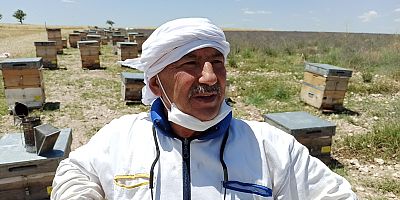 Emekli Öğretmen Mehmet Samancı’dan Uşak’ta Yüksek Kalite’de Lavanta Balı Üretimi Başladı…